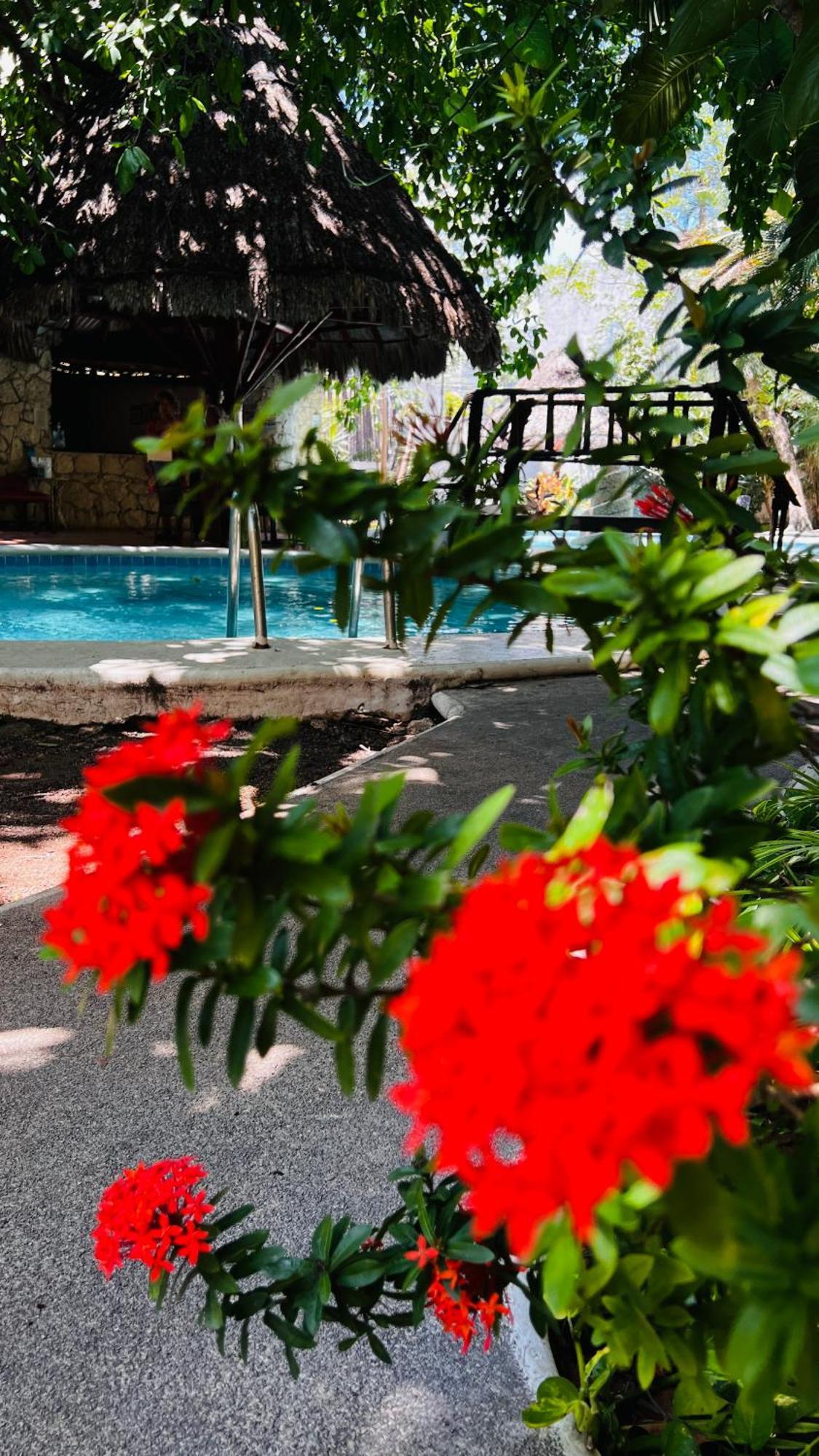 Mayan Art Hotel 10 Avenue Playa del Carmen Exterior foto